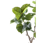 Tree Green Ficus Tree In Pot S 94x75x122cm PTMD