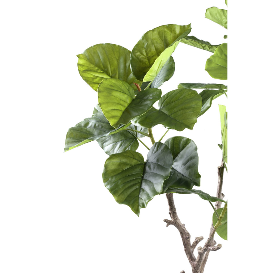 Tree Green Ficus Tree In Pot S 94x75x122cm PTMD
