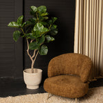 Tree Green Ficus Tree In Pot S 94x75x122cm PTMD