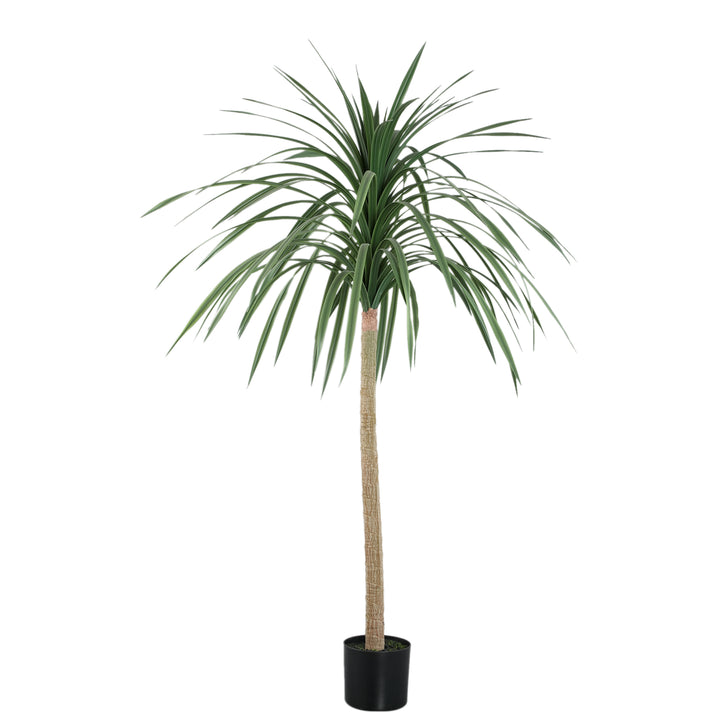 Tree Green Chinese Single Lobelia In Black Pot