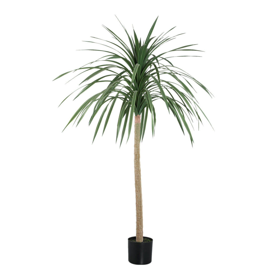Tree Green Chinese Single Lobelia In Black Pot