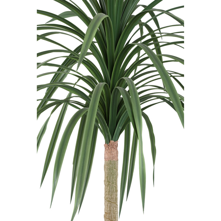 Tree Green Chinese Single Lobelia In Black Pot