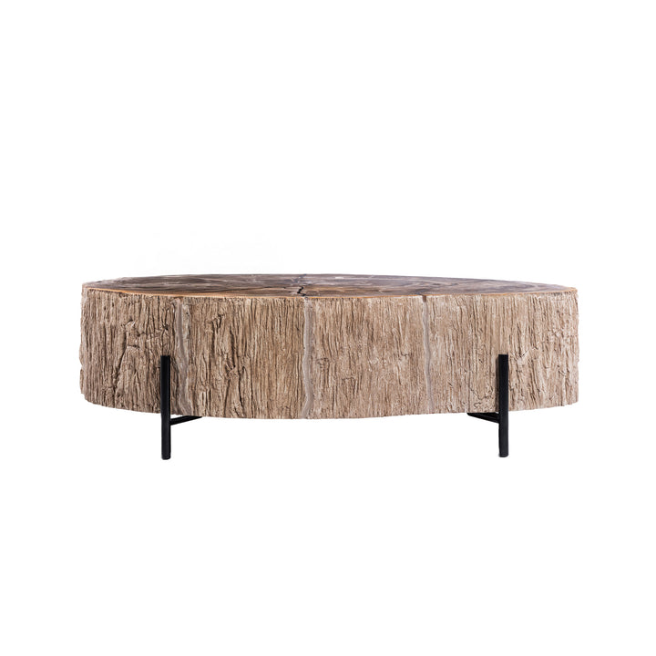 Salontafel Taly natural versteend hout fiberglass