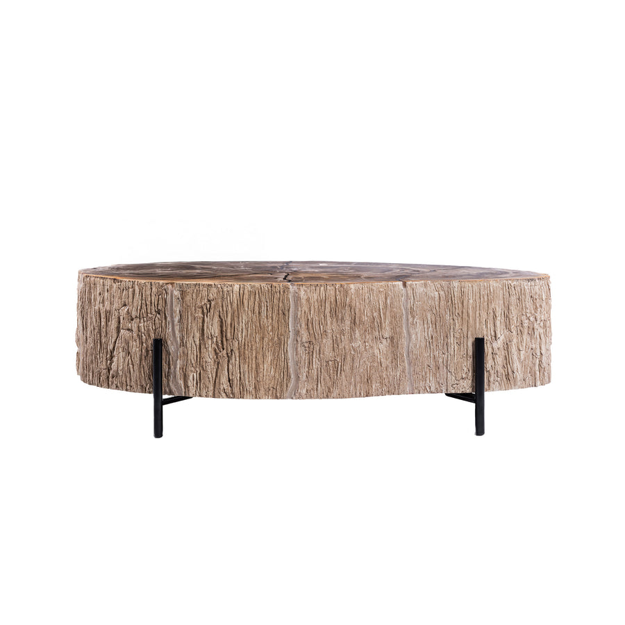 Salontafel Taly natural versteend hout fiberglass