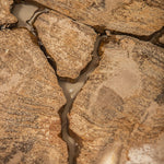 Salontafel Taly natural versteend hout fiberglass