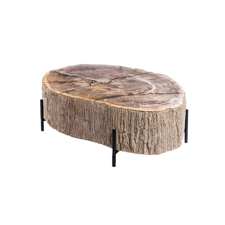 Salontafel Taly natural versteend hout fiberglass
