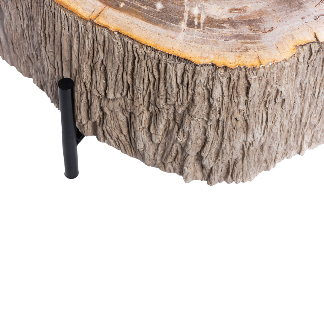 Salontafel Taly natural versteend hout fiberglass