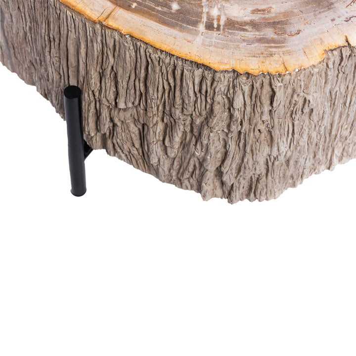 Salontafel Taly natural versteend hout fiberglass