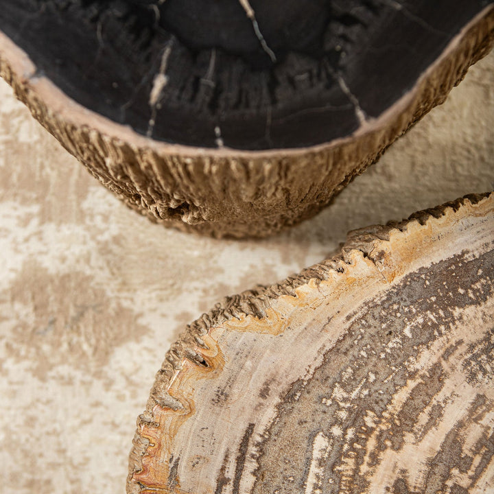 Salontafel Taly natural versteend hout steen