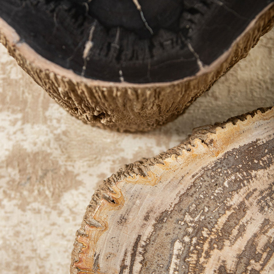 Salontafel Taly natural versteend hout steen