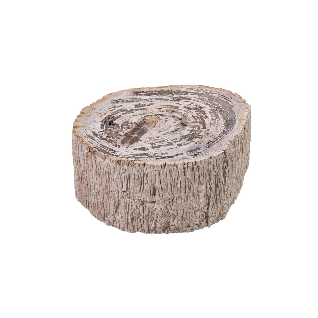 Salontafel Taly natural versteend hout steen