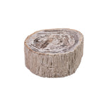 Salontafel Taly natural versteend hout steen