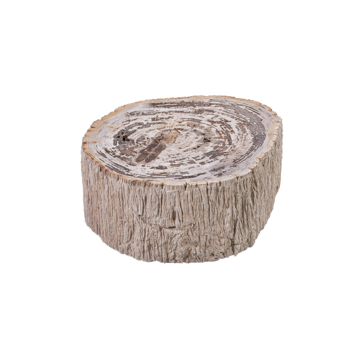 Salontafel Taly natural versteend hout steen