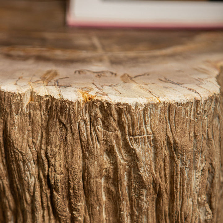Salontafel Taly natural versteend hout steen