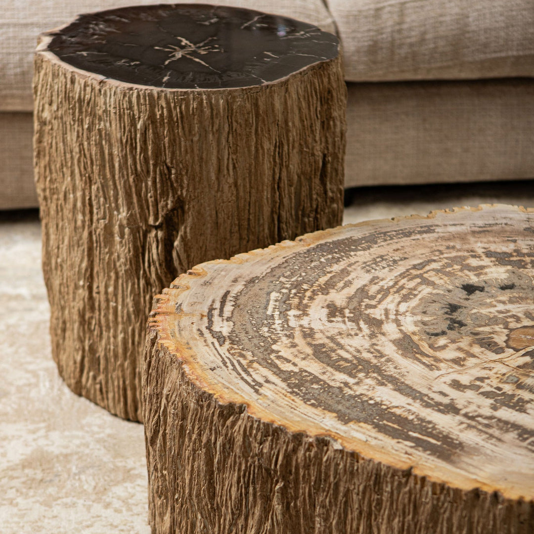 Salontafel Taly natural versteend hout steen