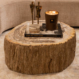Salontafel Taly natural versteend hout steen
