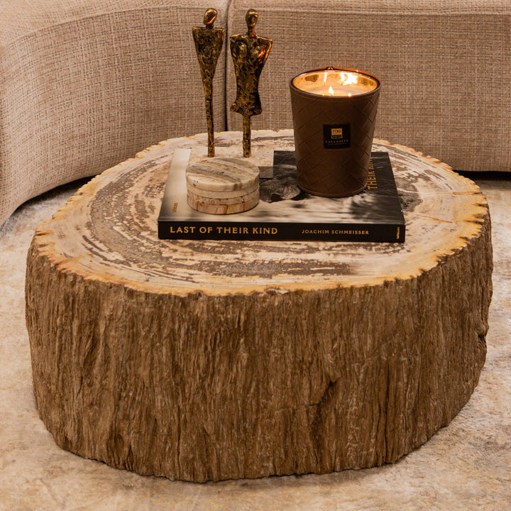 Salontafel Taly natural versteend hout steen