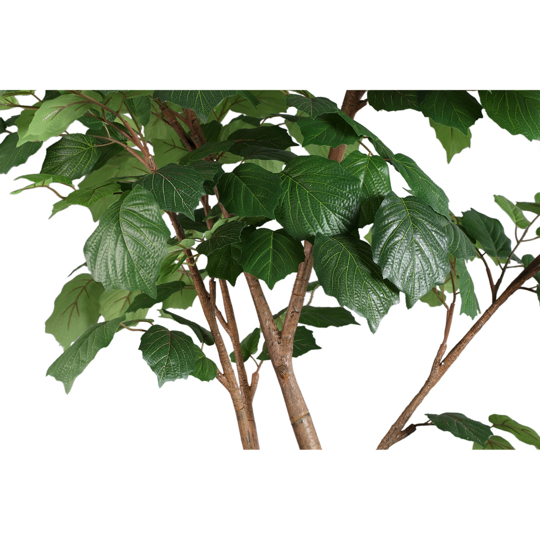Tree Green Grape Leaf Tree In Pot