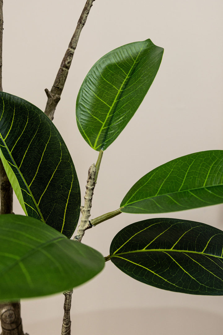 Kunst Ficus 160 cm – Grote Kunstplant – Inclusief Pot