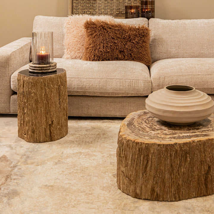 Salontafel Taly natural versteend hout steen