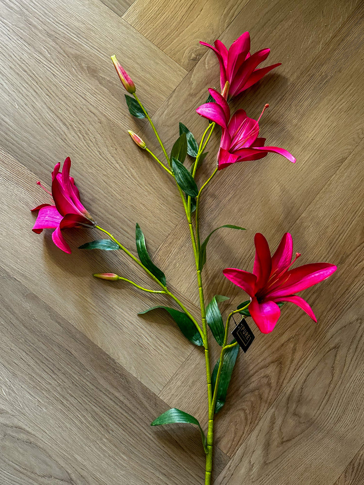 Hard roze tiger lelie