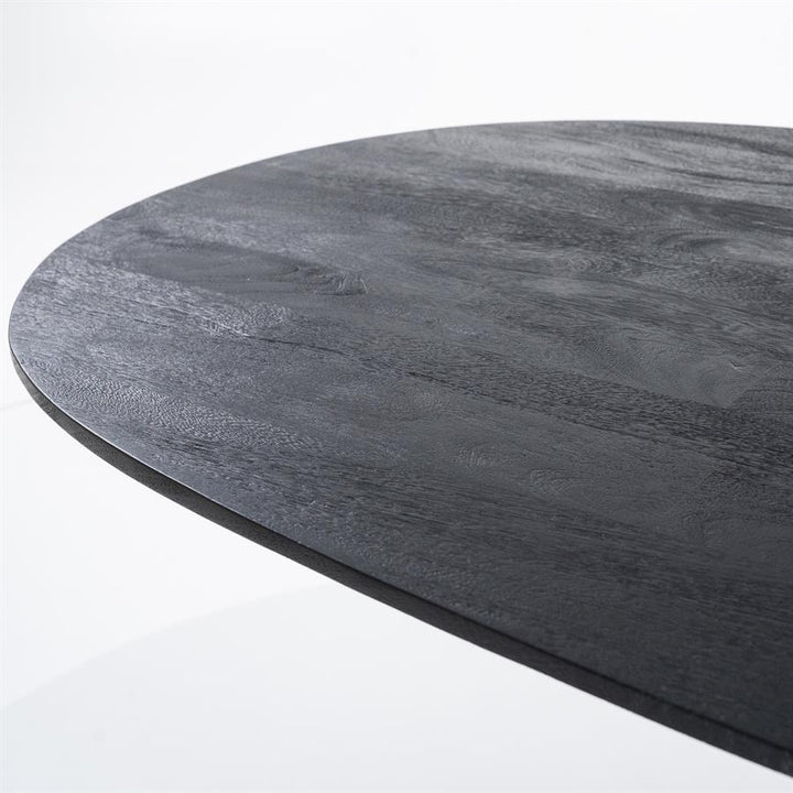 Ovaal Eettafel Aron – mangohout zwart 200x110cm