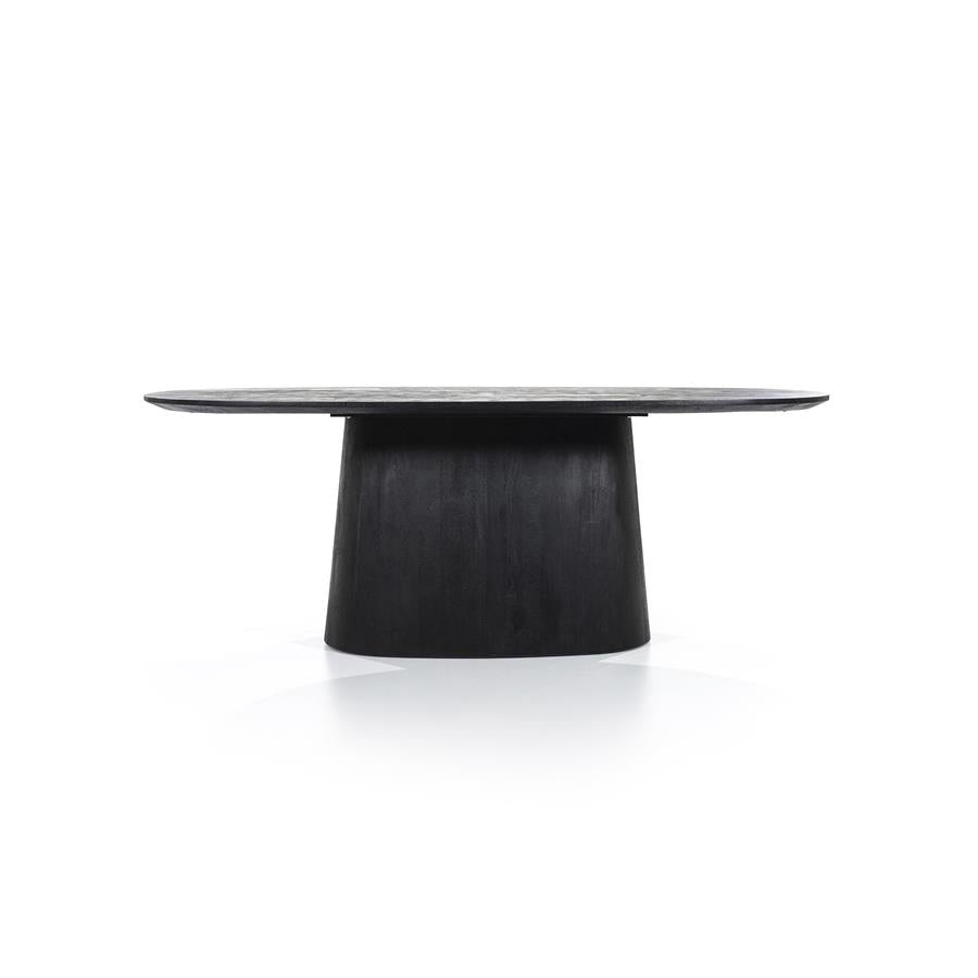 Ovaal Eettafel Aron – mangohout zwart 200x110cm