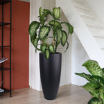 Bloempot Kentucky black M voor binnen& buiten