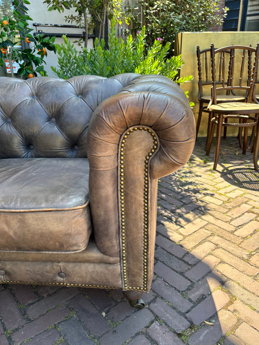Chesterfield Clubfauteuil Bruin/Taupe leer
