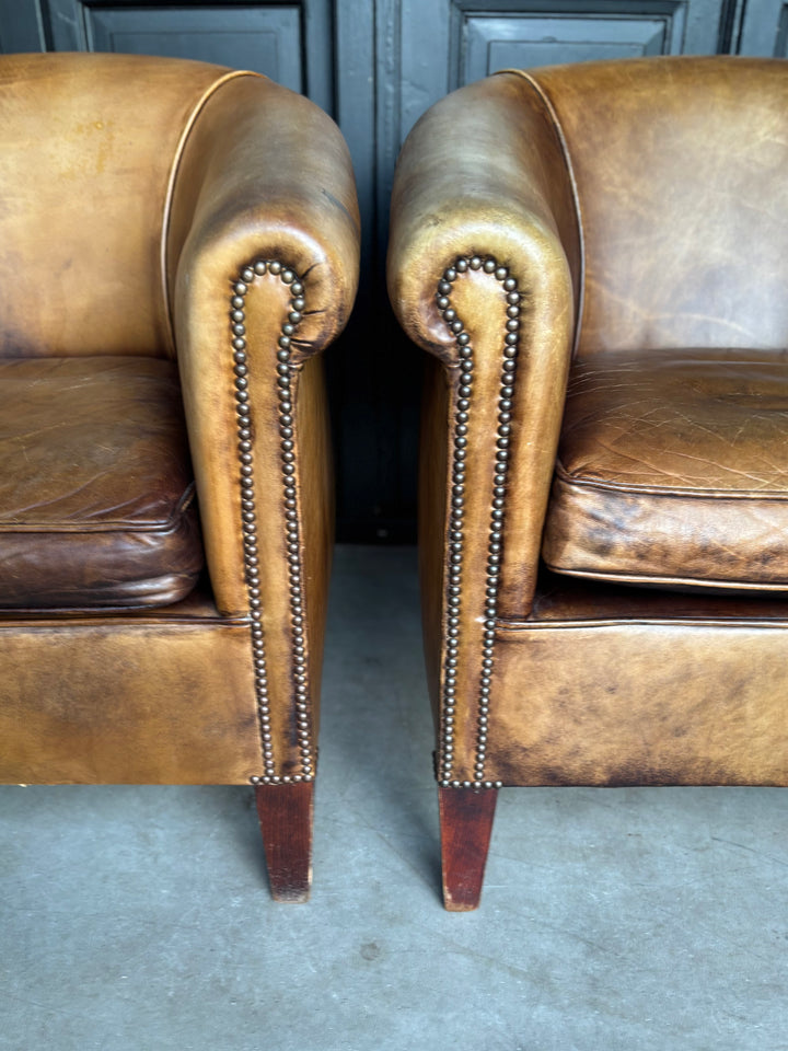 Set Runderleren Clubfauteuils