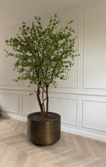 Pre order Uyuni Pot Aged Brass Tijdloos Design