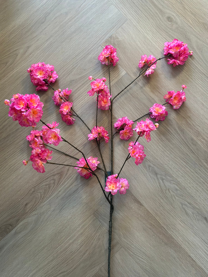Bloesem takken roze-oranje