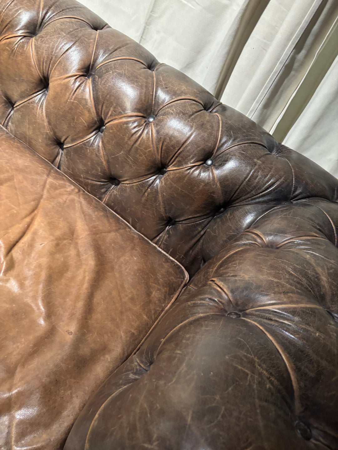 Chesterfield Bank 2.35 breed
