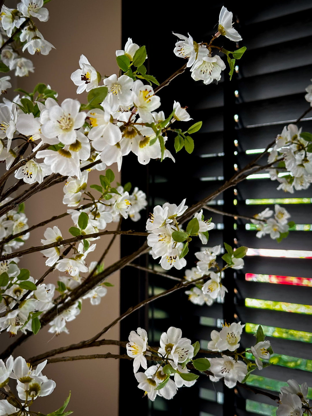 Sakura bloesem takken