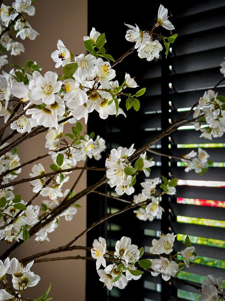 Sakura bloesem takken