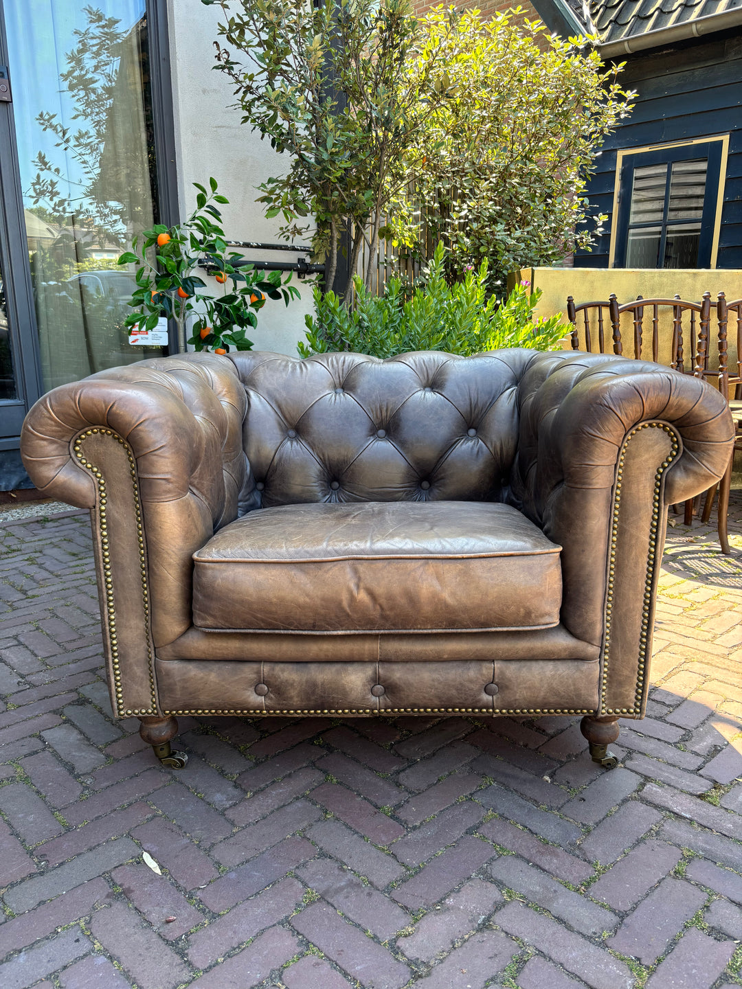 Chesterfield Clubfauteuil Bruin/Taupe leer