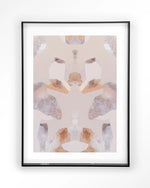 Sand Fox - Moderne Wanddecoratie | Artprint, Glass Art & Wandkleed