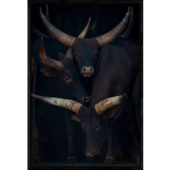 Buffel  Watusi family decopaneel Schilderij