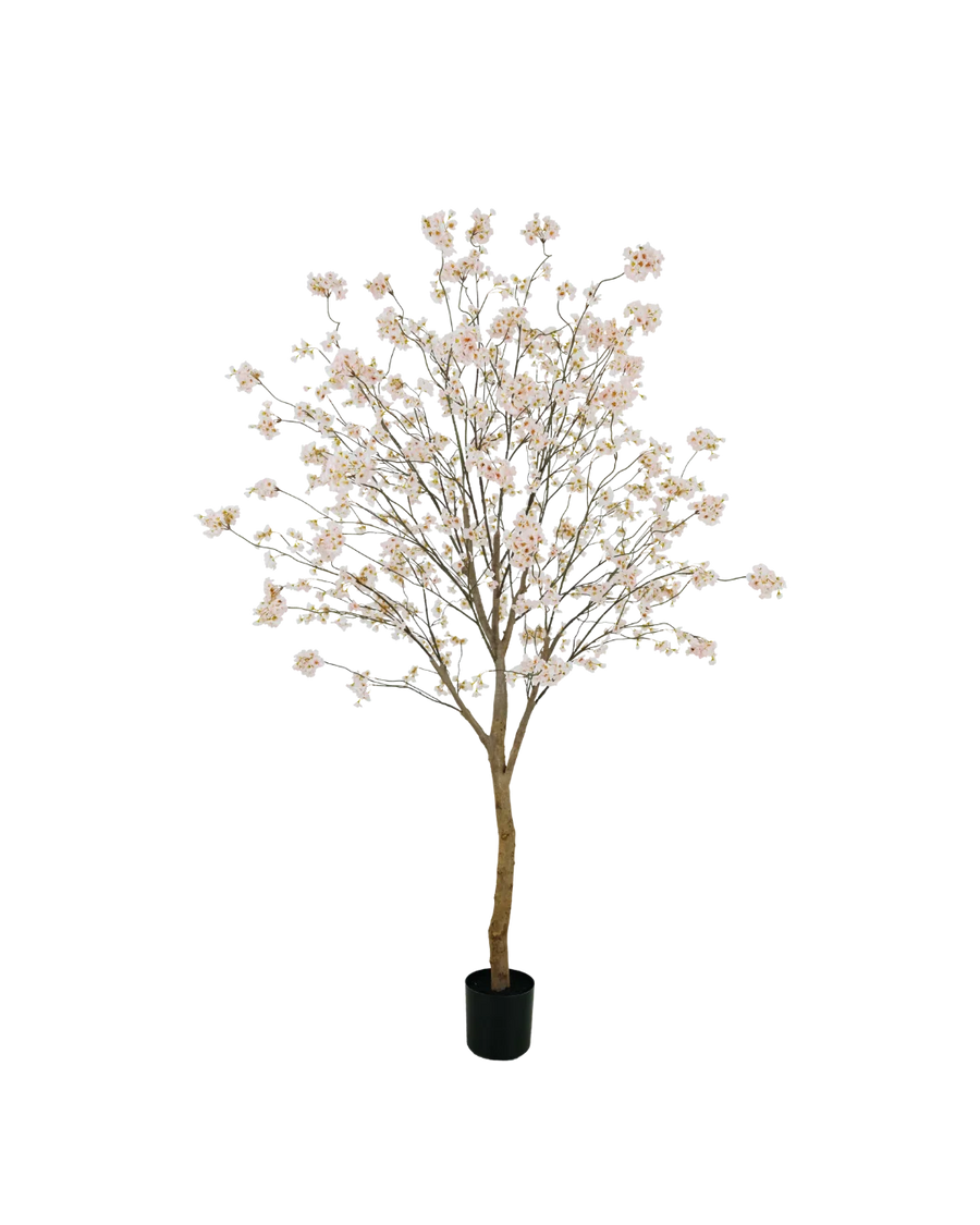 Bloesem boom roze 180cm