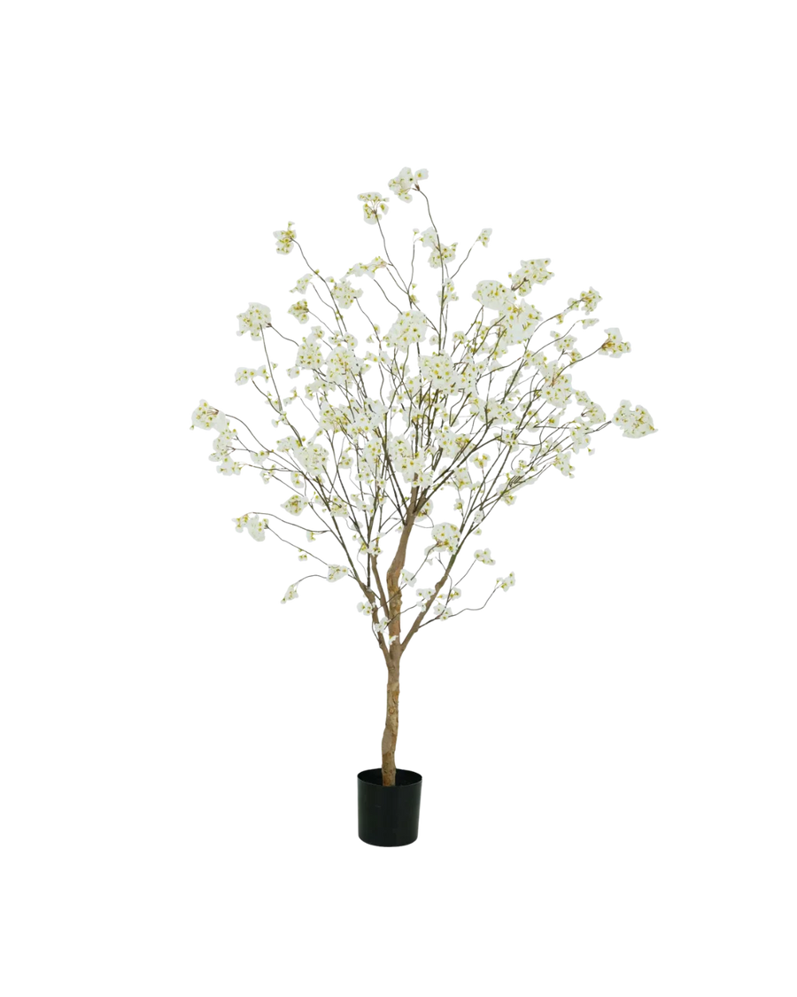 Bloesem boom crème 220cm