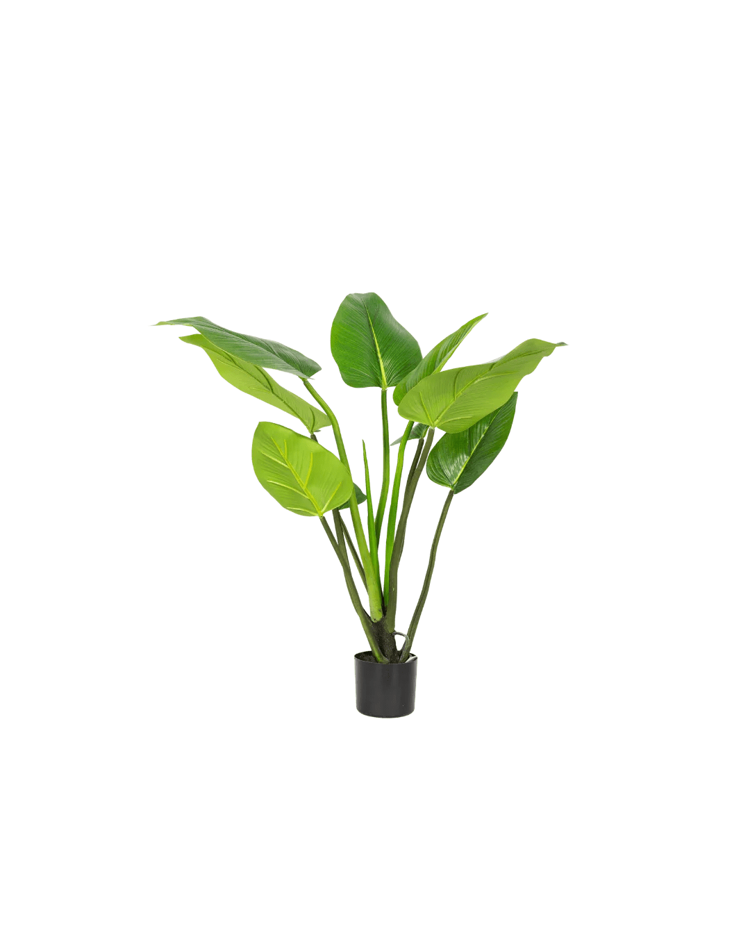 Alocasia kunstplant 90cm