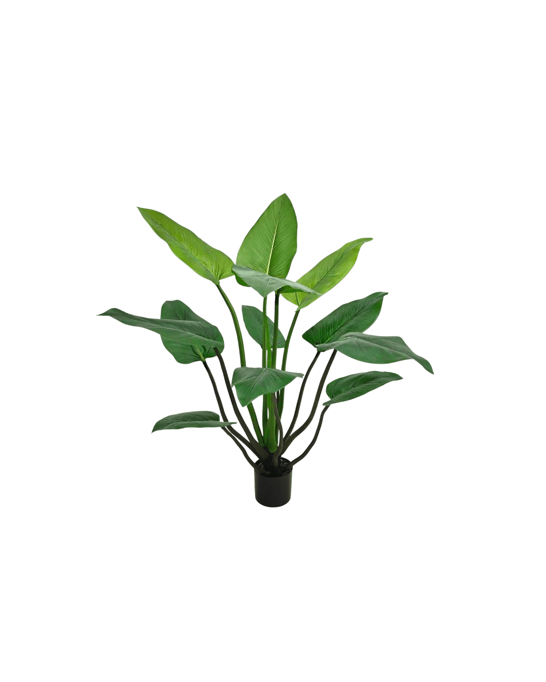 Alocasia kunstplant 120cm - Silk House