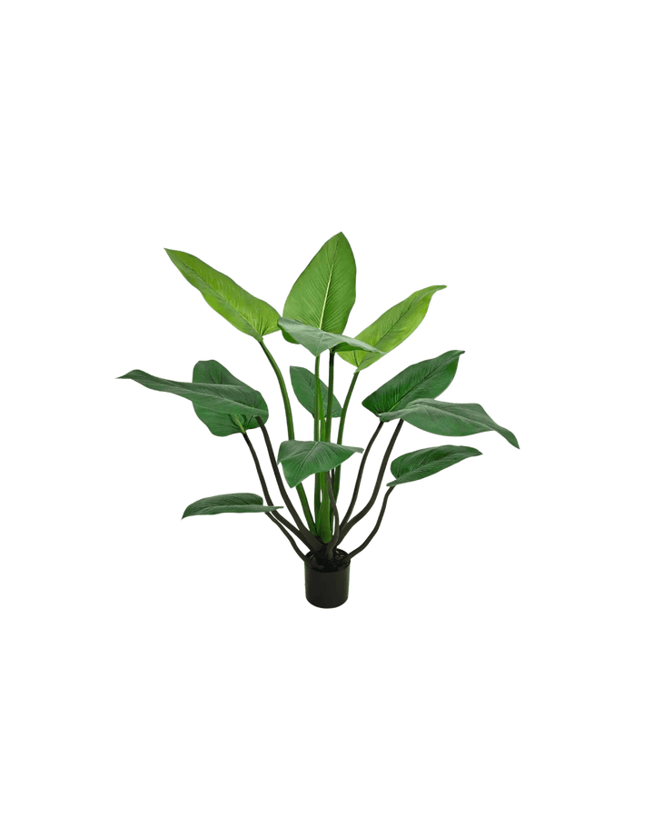 Alocasia kunstplant 120cm - Silk House