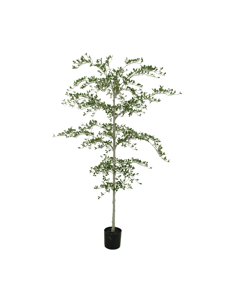 Black Olive kunstboom 210cm - Silk House