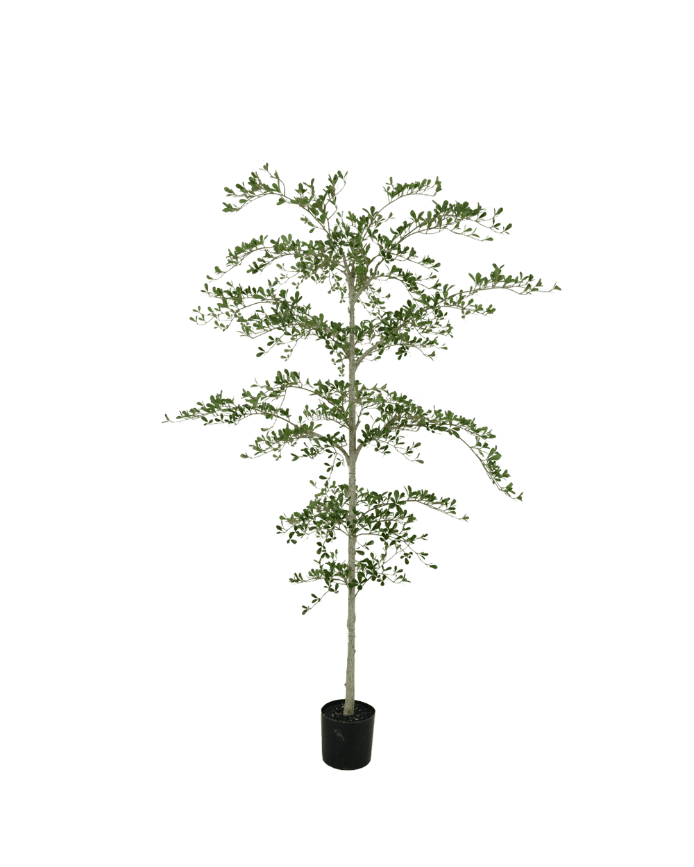 Black Olive kunstboom 210cm