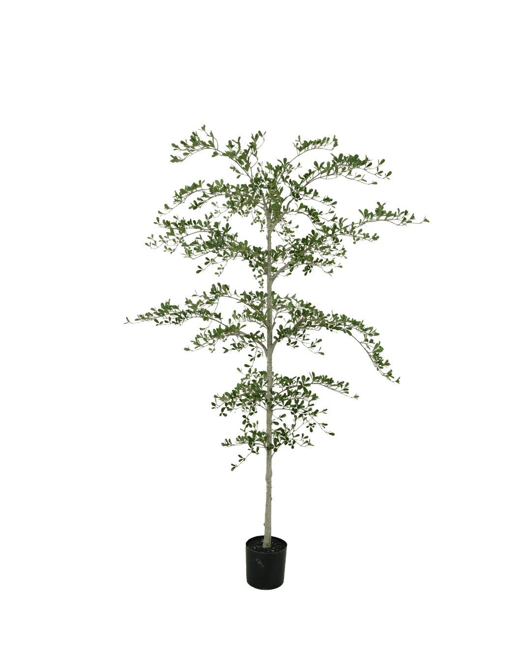 Black Olive kunstboom 210cm