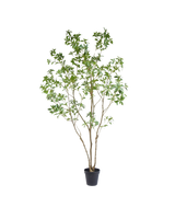 Pieris Japonica kunstboom 240cm