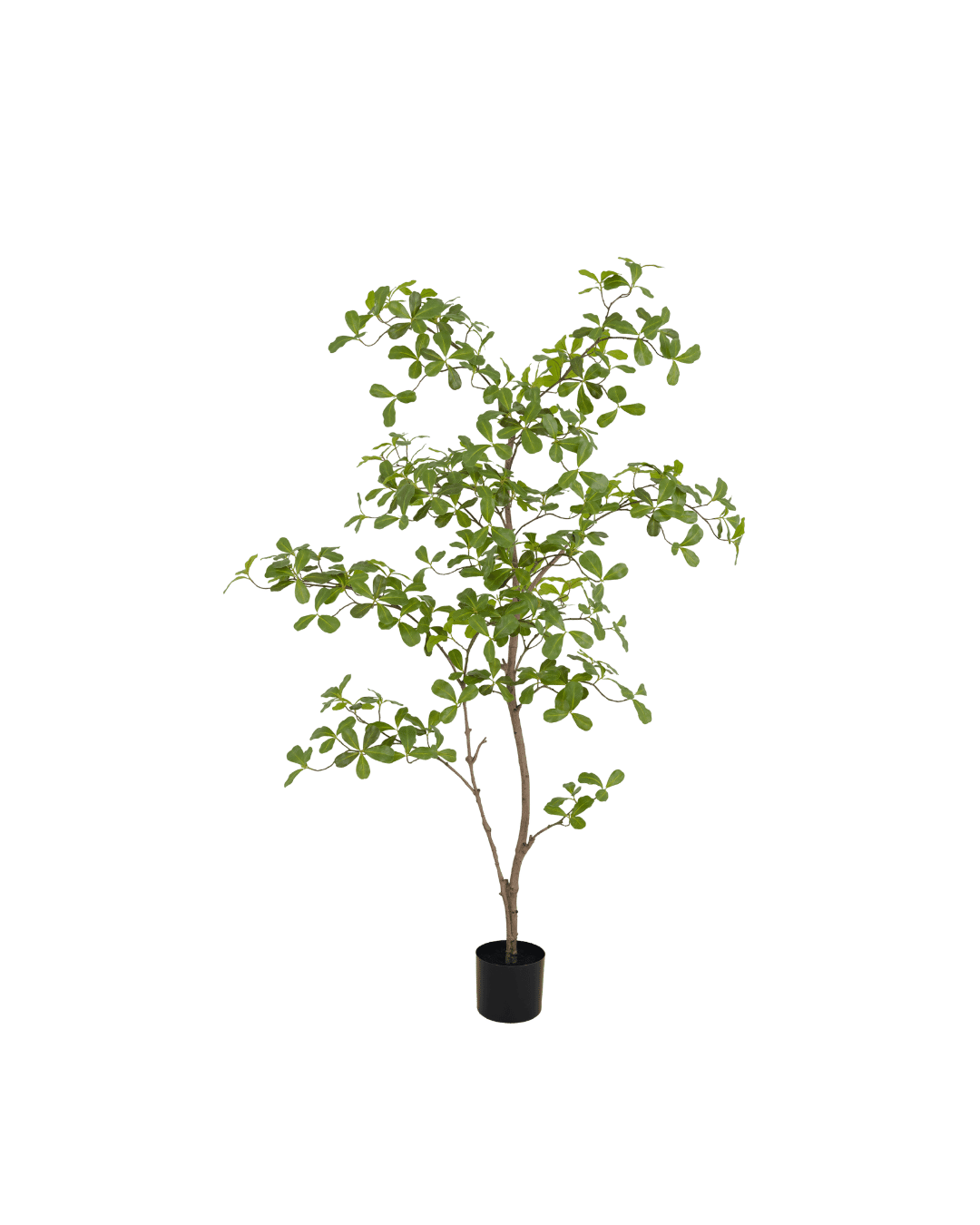 Moringa kunstboom 150cm