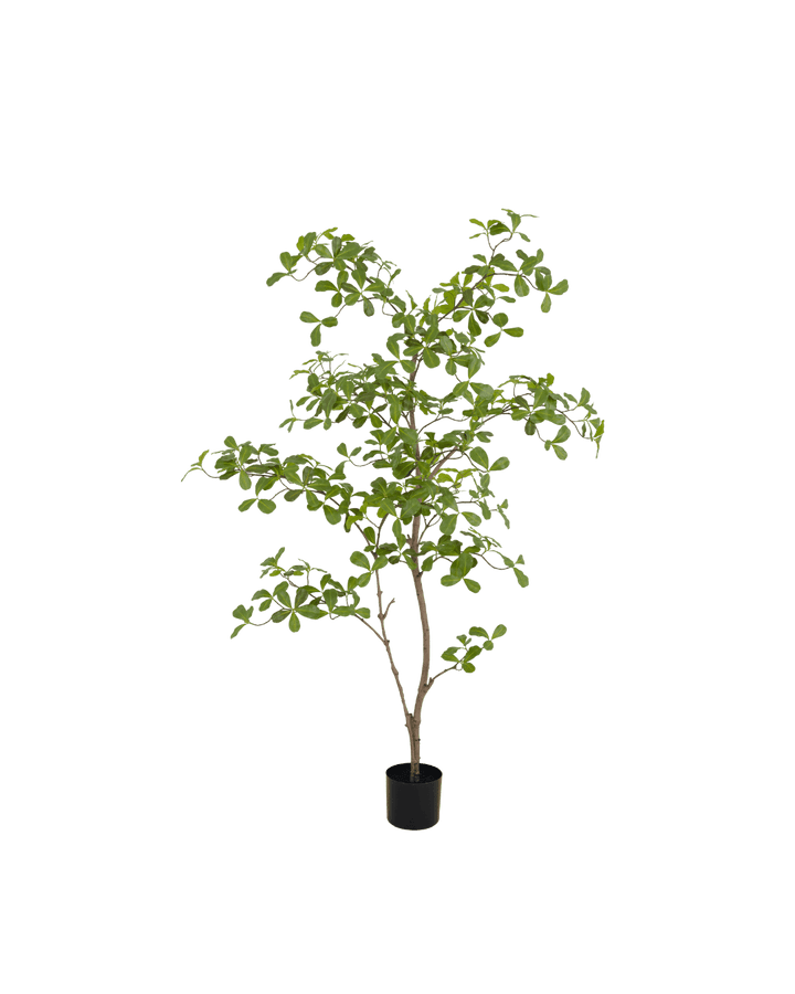 Moringa kunstboom 150cm