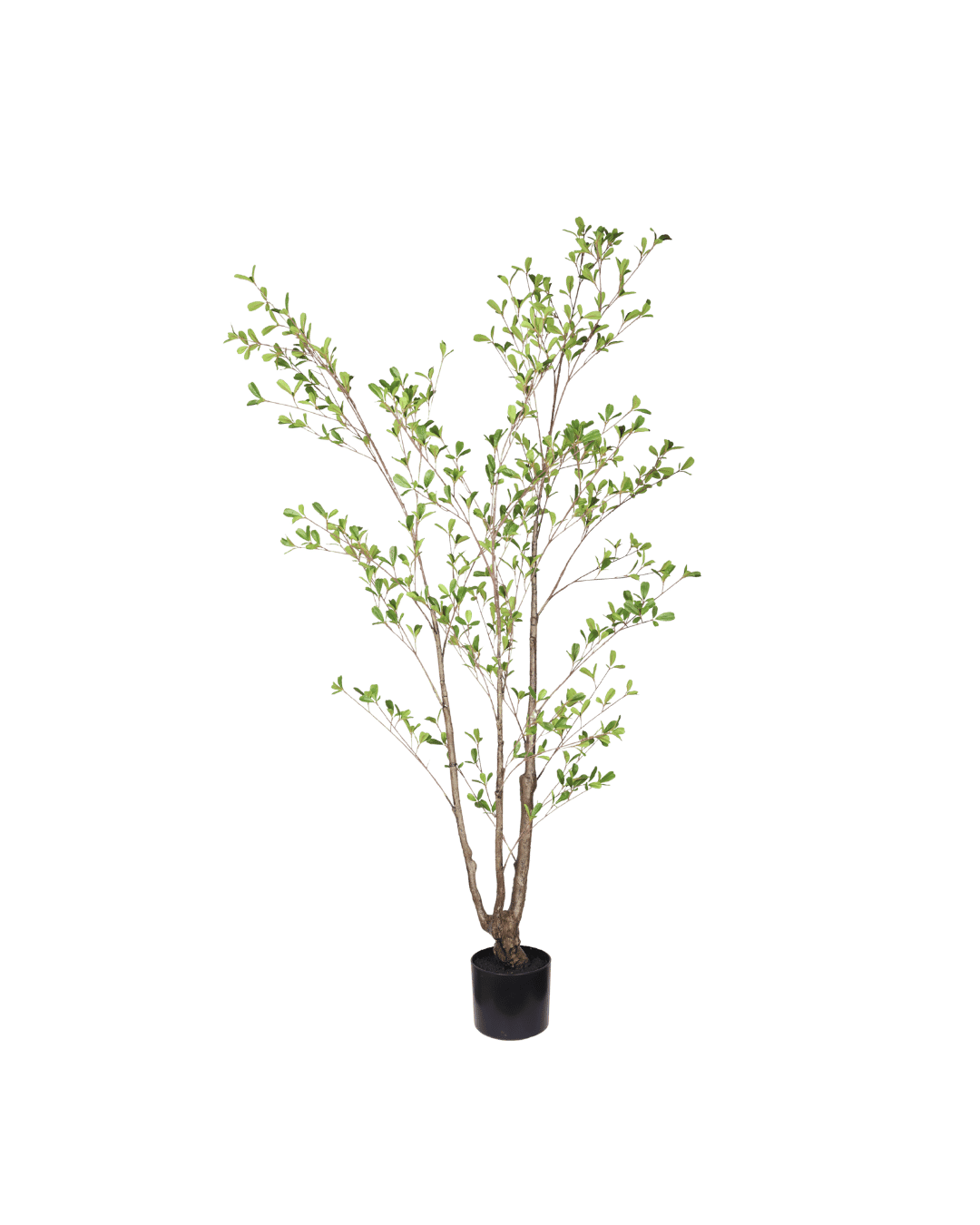 Seren Leaf kunstboom 150cm - Silk House
